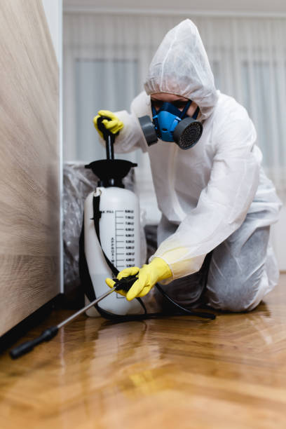 Best Residential Pest Control  in Englewood, NJ